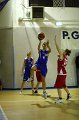Basket 443002